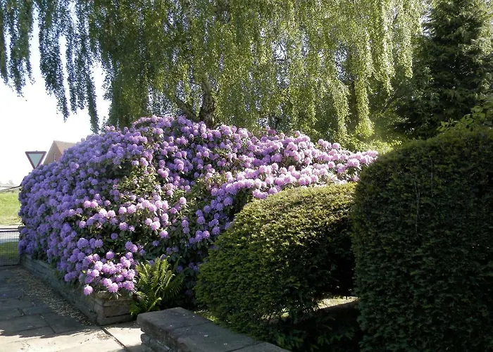 Oppermann Apartamento *